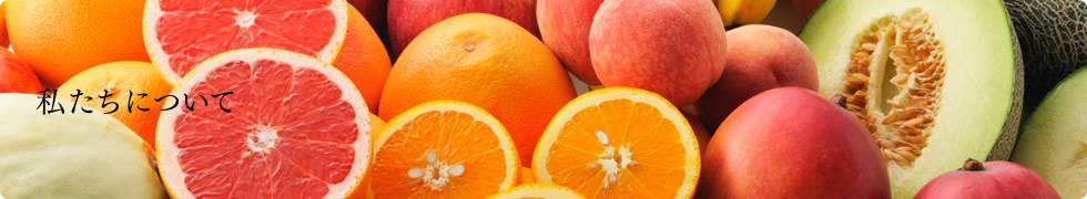 私たちについて