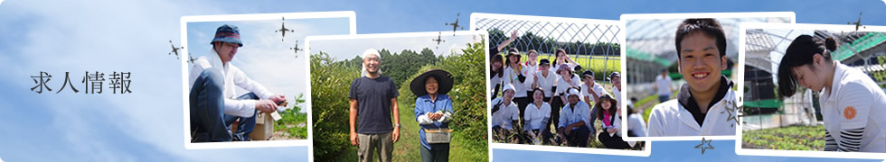 求人情報