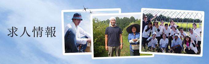 求人情報